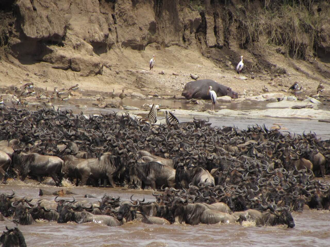 6-Day Kenya & Tanzania Safari, Mara, Serengeti, Ngorongoro Crater