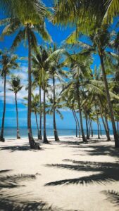 4 Days Amboseli, Tsavo west and Tsavo East National Park safari