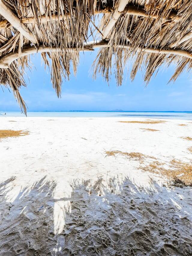 Diani