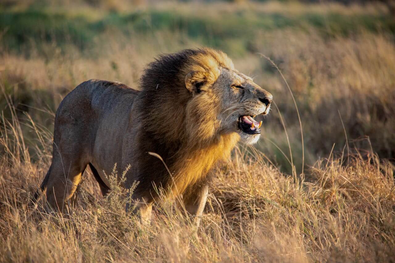 5 Days Lake Nakuru, Amboseli, Tsavo East National Park