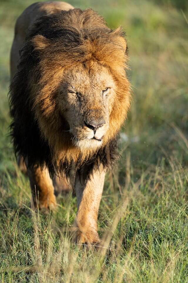 Kenya